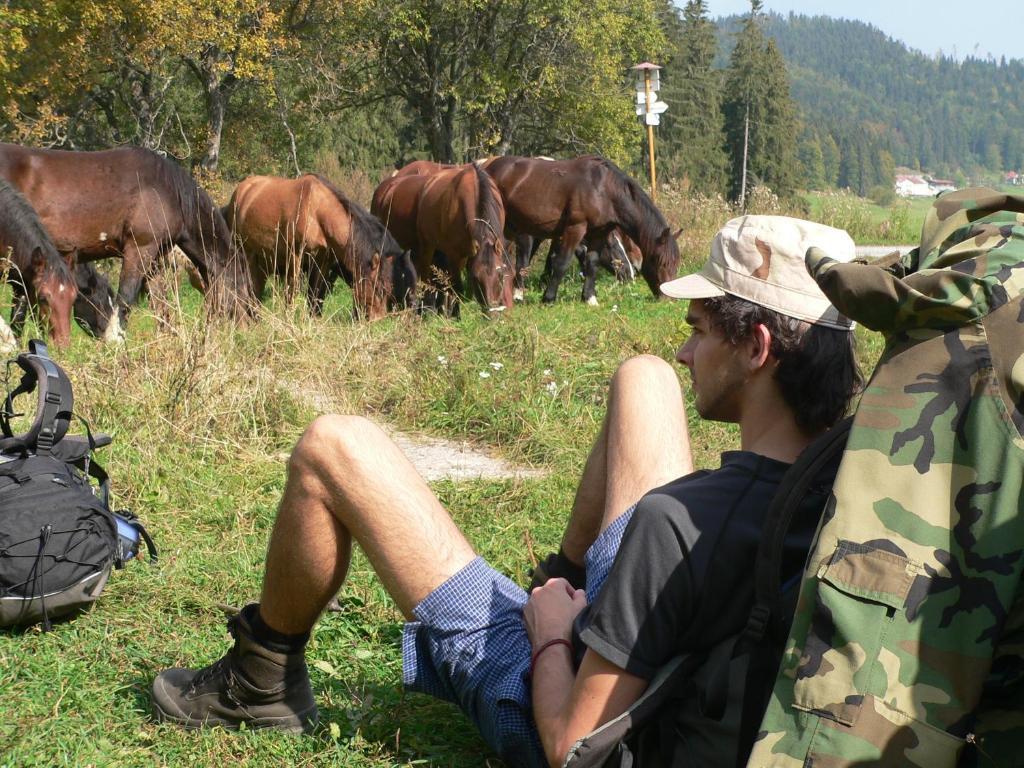 Penzion Leamy Rokycany Dış mekan fotoğraf
